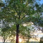 3b166069 e09c 4449 9081 3488204edf7a. cr0,0,375,375 ux460 